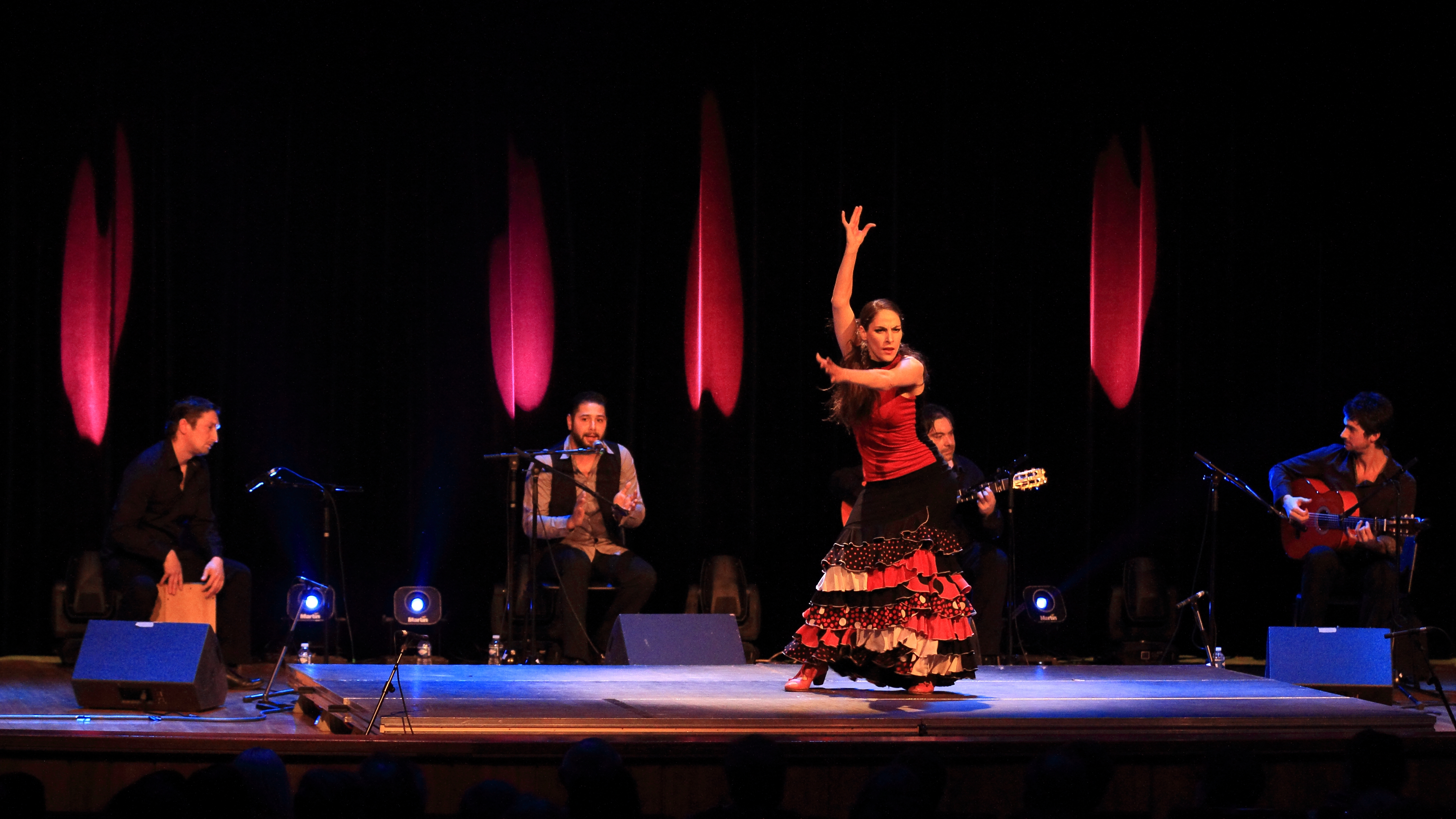 Maria Gasca, danseuse flamenco en mouvement